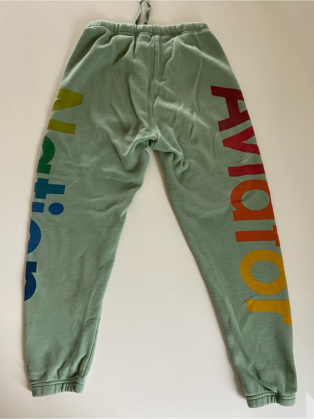 AVIATOR NATION SET Hoodie (Small) + Logo Sweats (XS) in Sage Green 🌈 - Picture 8 of 17